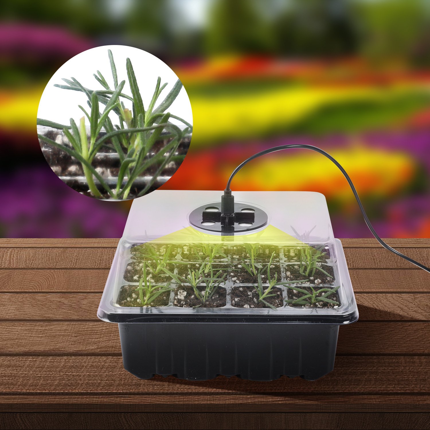 (🔥Last Day Sale-50% OFF)Seed Starter Trays with Grow Light-Buy 2 Get 1 Free