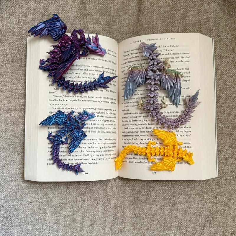 🔥Last Day 49% OFF📕Book Gift: A Date with Books and Dragons🐉( ✨Six gifts per order)