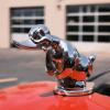 LAST DAY 50% OFF--PROMOTION 🔥 ANGRY DUCK HOOD ORNAMENT DEATH PROOF