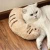 🔥This Week's Special Offer 49% OFF -Cat Lovely Cozy Pillow