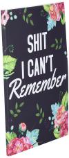 🔥Shit I Can't Remember | Notebook for Passwords and Shit