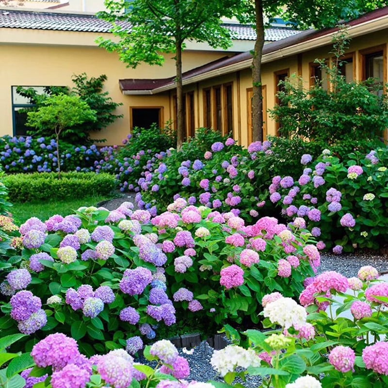 🔥Last Day Promotion 50% OFF💐Outdoor Artificial Hydrangea Flowers