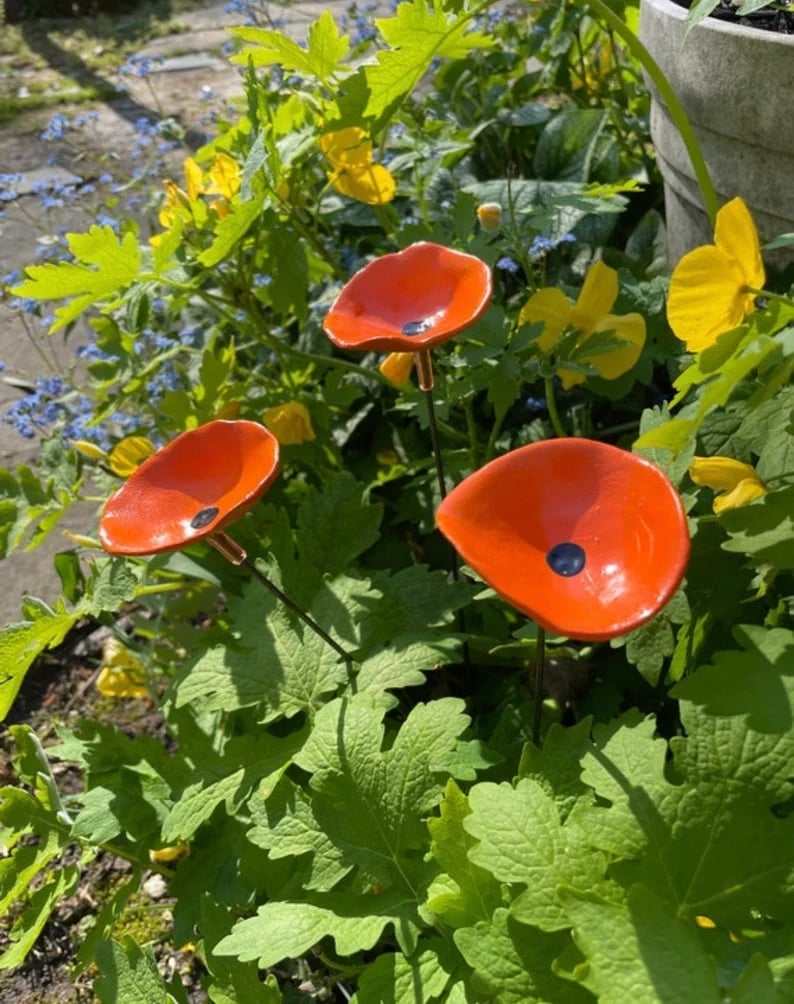 🎖️July 4th Flash Sale: 70% OFF Sitewide! 🐝Bee Watering Station,🦋Butterfly Puddler,Hummingbird Drinking Cups