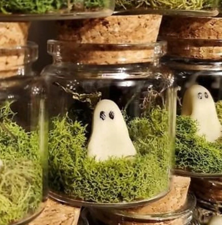 Pet Ghost in Bottle👻