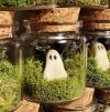 Pet Ghost in Bottle👻