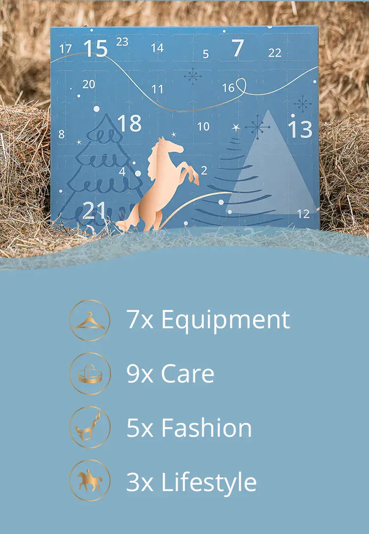 🎅Christmas Early Bird Sale 49% Off🐎Horsebrands Advent Calendar 2024