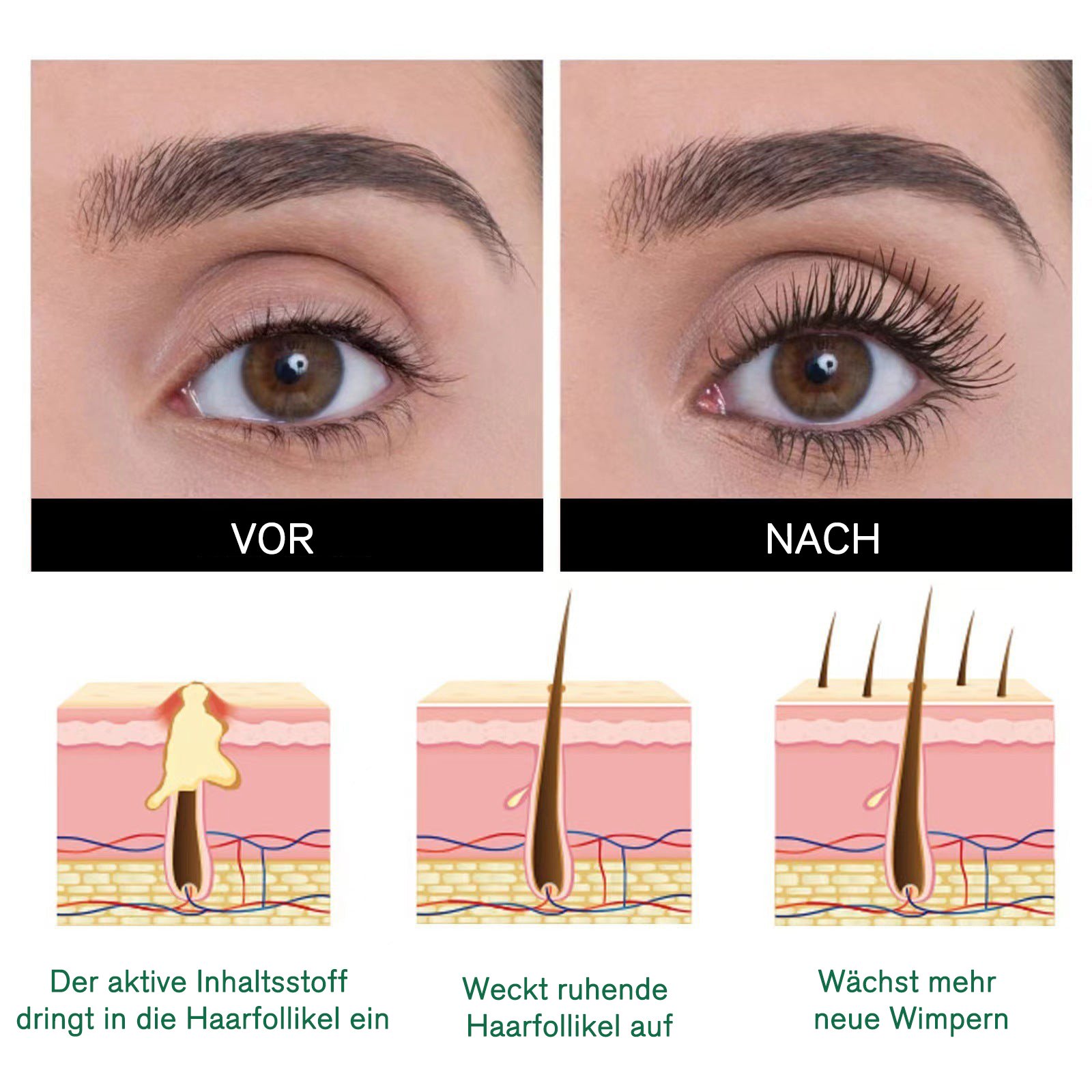 OTEH™ Wimpern Luxus Rizinusöl Veganes Wuchsserum