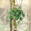 🍁Fall Harvest Sale: 60% OFF! String of Turtles Suncatcher: Greenery Window Decor