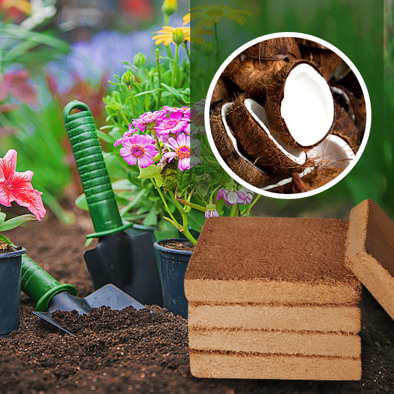 (Last Day Promotion - 50% OFF) Organic Coconut Coir for Plants, BUY 3 GET 2 FREE & FREE SHIPPING