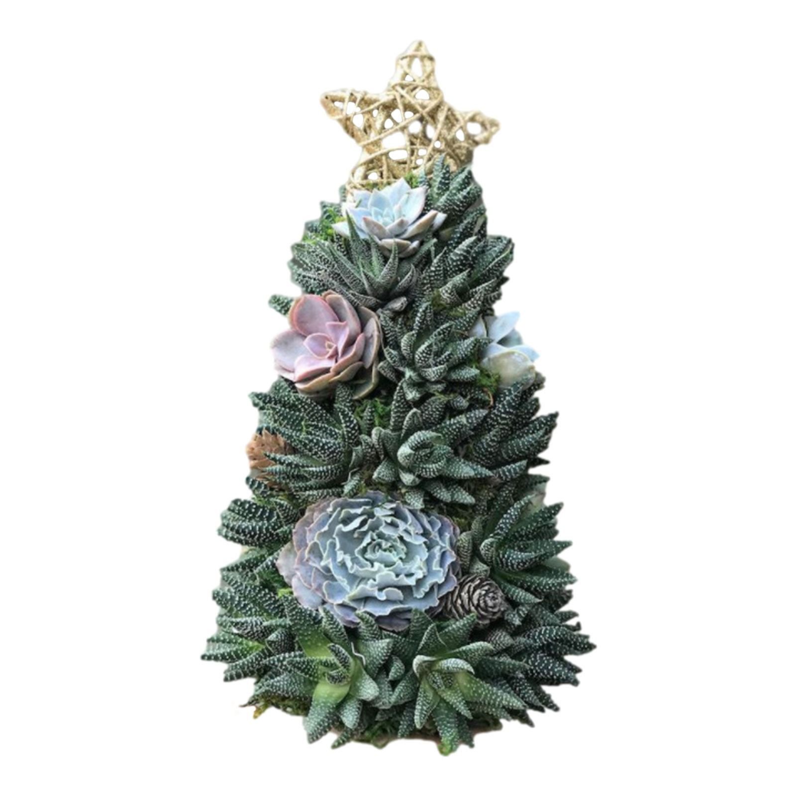 (🎁EARLY CHRISTMAS SALE - 50% OFF) 🎄Handcrafted Succulent Art Tree, Buy 2 Free Shipping Only Today