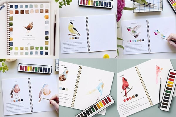 🖼️Beginner-Friendly💕 Watercolor Workbook