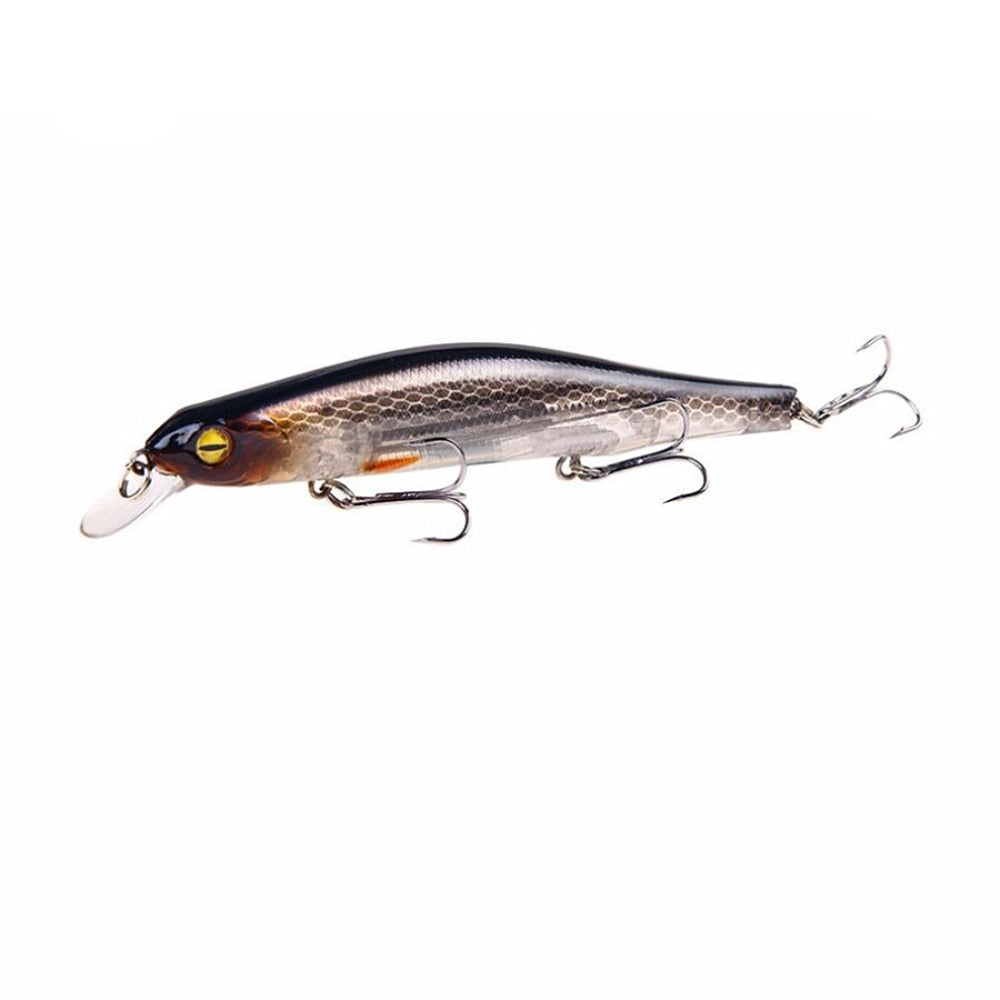 Minnow Fishing Lure