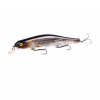 Minnow Fishing Lure
