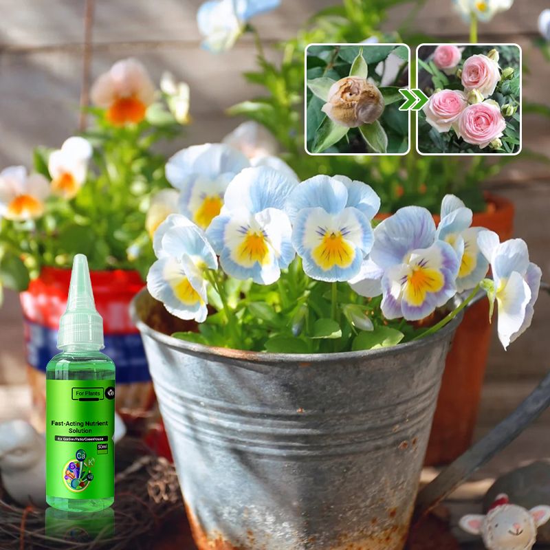Last Day 70% OFF🔥Fast-Acting Nutrient Solution for Plants
