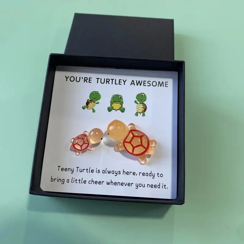 🐢Turtle Gift Box Set -