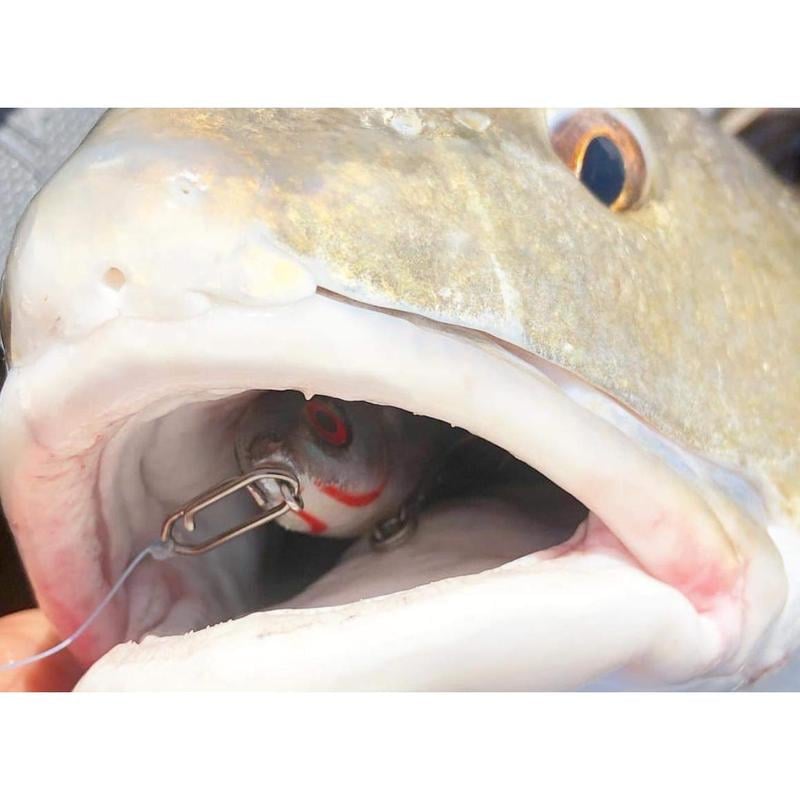 🎉Letzter Tag 49% Rabatt🔥Topwater Co Speed-Clips🐟