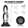 Couple Flirting Anal Plug Vibrator Wireless Remote Control Metal Anal Plug Backyard Sex Toys - GS-04