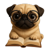 🔥Last Day 50% OFF -🎄Fun Pug Advent Calendar 2025
