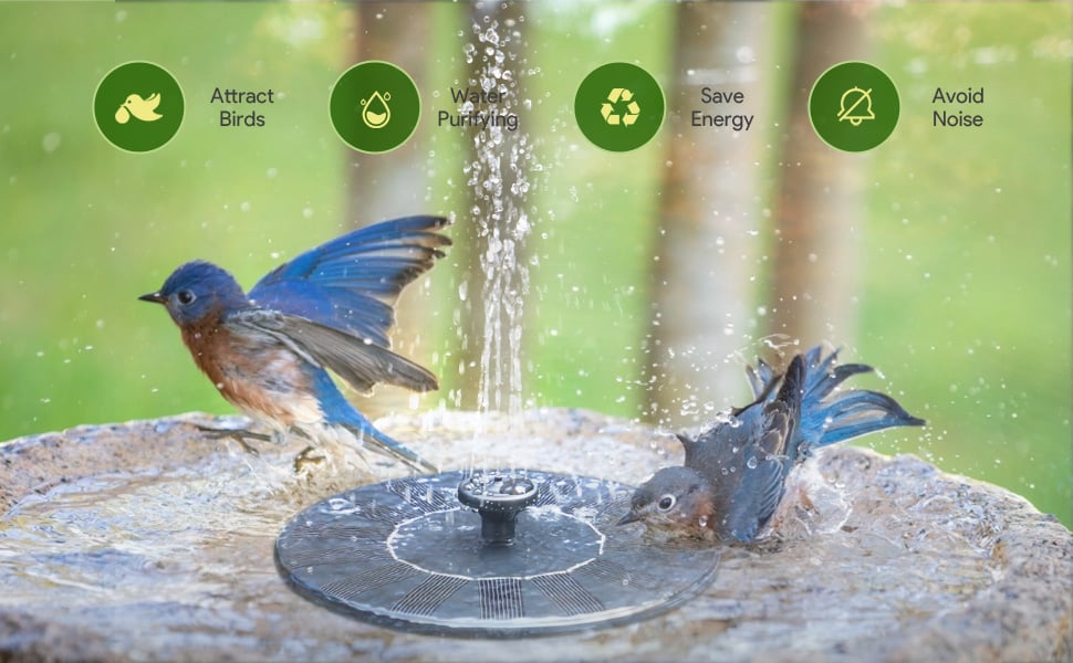 LAST DAY 60% OFF🔥Solar-Powered Bird Fountain Kit