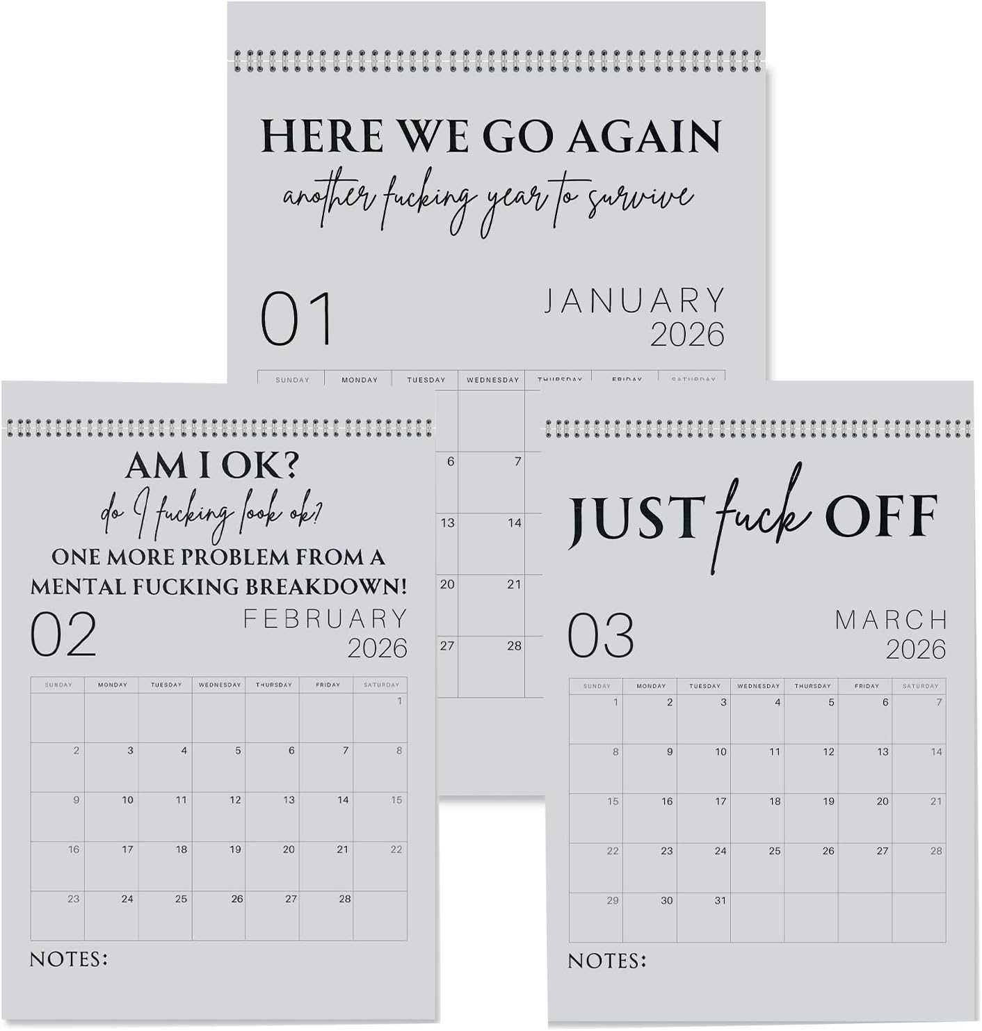 💥LAST DAY SALE 50% OFF💥Fu*k It 2026 Spiral Bound Wall Calendar