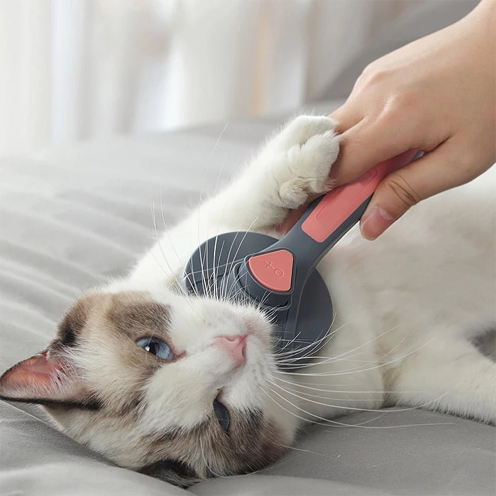 🔥 (Sunmer Hot Sale - 50% OFF) Self-Cleaning Deshedding Slicker Brush, Buy 2 Get Extra 10% OFF