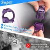Cat Harness & Leash