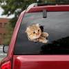 Early Christmas Hot Sale 50% OFF - 3D Cat Sticker Decal(BUY 3 GET FREE SHIPPING)