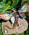 🦋Butterfly Dragon