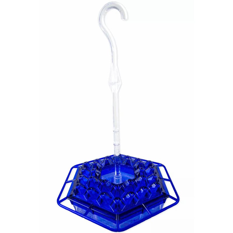 🎉 Last Day Promotion-70% OFF 🎉 Sweety Hummingbird Feeder