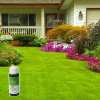 🌸2023 HOT SALE🌱GREEN GRASS & PEST CONTROL LAWN SPRAY