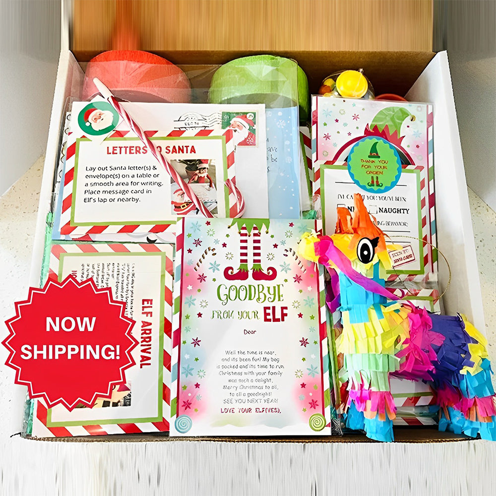 🎄Elf Kit 24/12 Days of Christmas