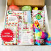 🎄Elf Kit 24/12 Days of Christmas