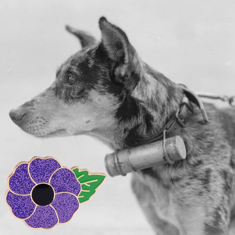 Limited Edition Remembrance Day Purple Poppy Badge