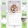 😾2025 P*ssed off P*ssies Angry Cats Calendar