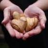 The Holy Land Handmade Wood Craft Hearts