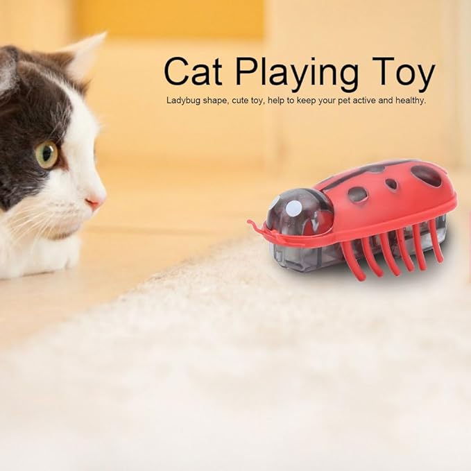 🌲Early Christmas Sale 49% Off🌲Mini Cute Electric Ladybug Cat Toy, 🔥BUY 5 GET 3 FREE & FREE SHIPPING