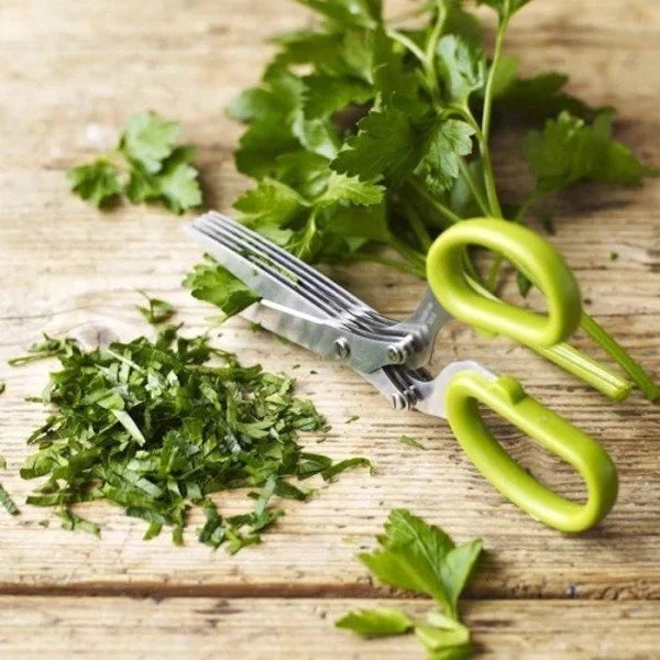 (🎄Christmas Promotion--48%OFF)Multi-Blade Herb Scissors(Buy 2 get 1 Free)