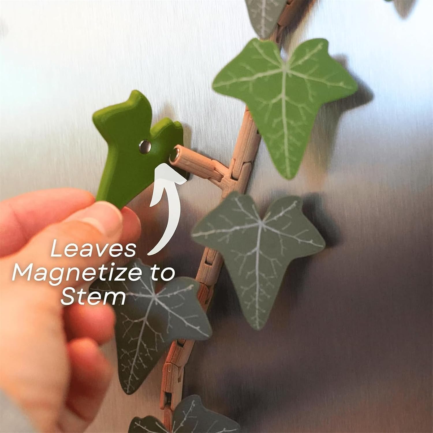 Ivy Fridge Magnet