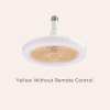 ☀️Summer Picks -🍃Remote Control Aromatherapy Ceiling Fan with Light