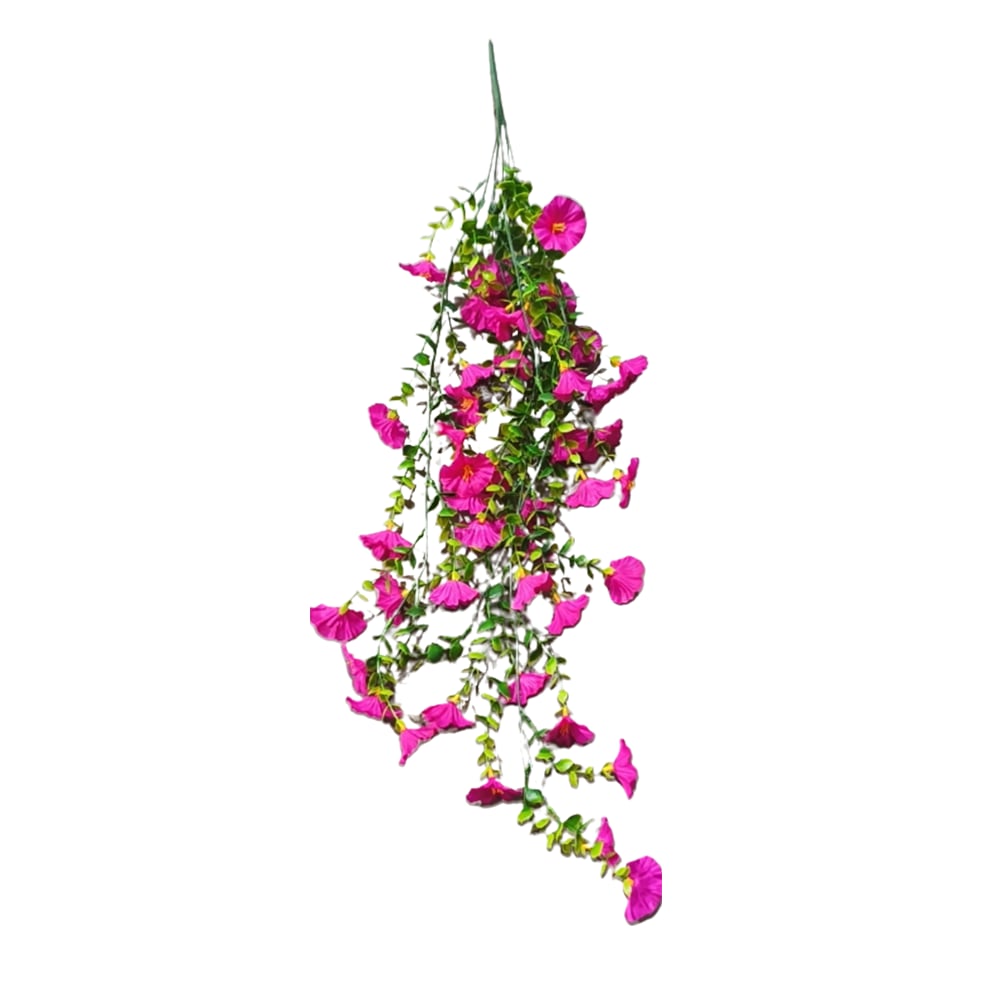 🔥Letzter Tag 50% Rabatt🌺Hängende Prunkwinde