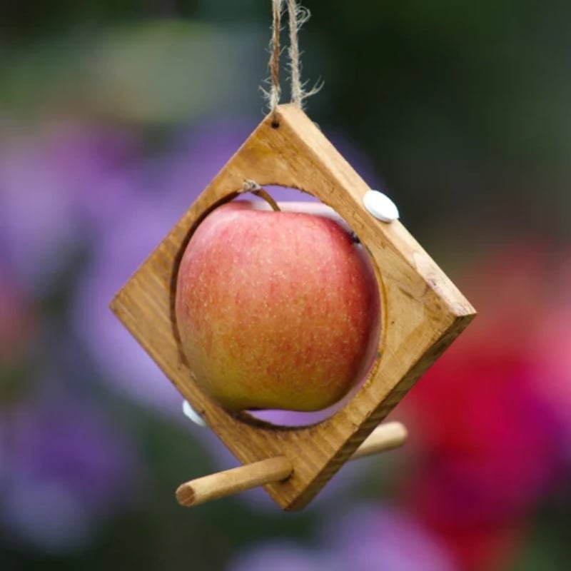 🎁TikTok Last Day Promotion -80% OFF🔥Fruit bird feeder Ideal for garden -🐦Buy 3 Get 3💚