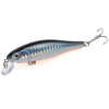 Hot Model Fishing Lure