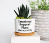 🔥New Year Promotion 50% Off-🌱Funny Plant Pot