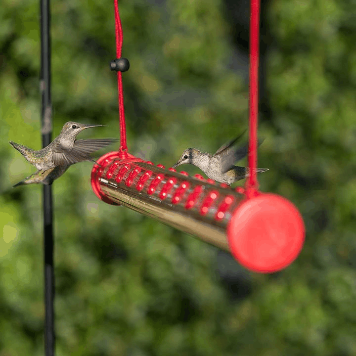 (🎉Mother's Day Sale 40%OFF) 2022 New Design Hummingbird Feeder-BUY 2 FREE SHIPPING