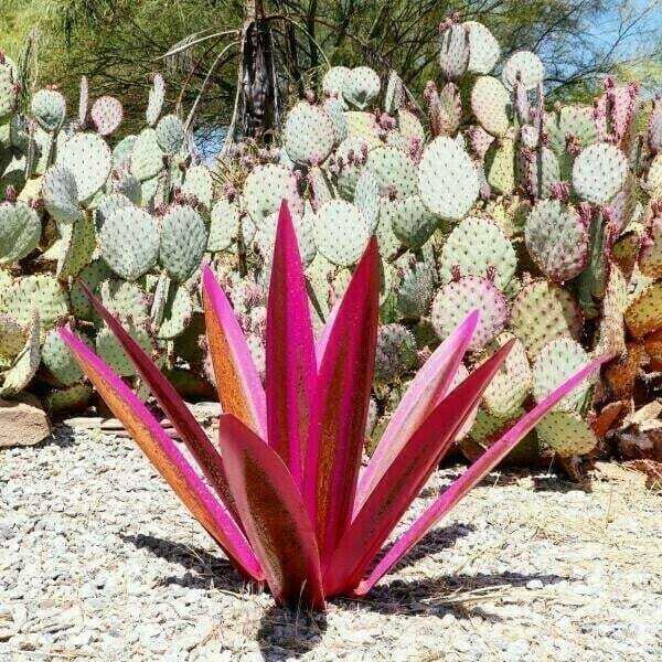 🌵Anti-rust Metal Led Tequila  Agave Plant-Perfect for garden