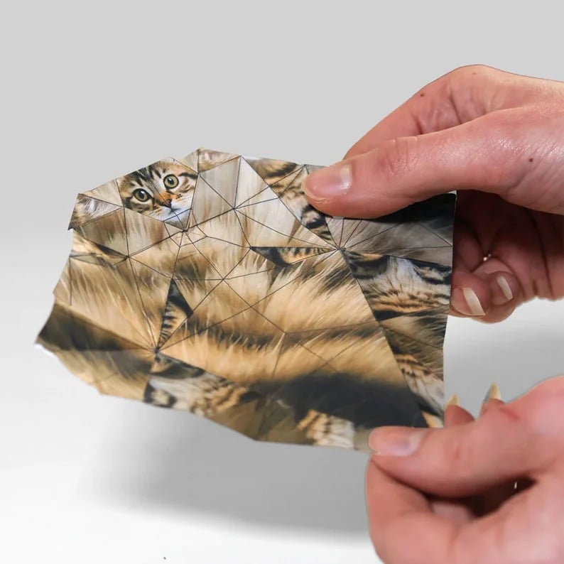 🔥Last Day Promotion 50% OFF🔥DIY Paper Cats