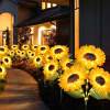🌻Factory Direct Sales 49% Off - 🌞Solar LED Sunflower Garden Lights