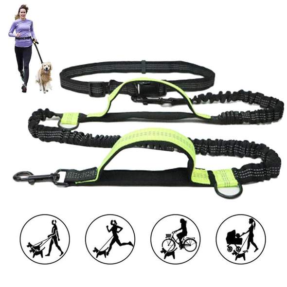 Buy 2 Free Shipping-Retractable Hands Free Dog Leash