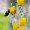 Fun Ferris Wheel Bird Feeder 🐦 Create a bird playground in your garden