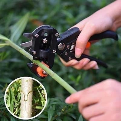 (🔥Last Day Promotion 50% OFF) Garden Professional Grafting Cutting Tool - Buy 2 Get Extra 10% OFF & Free Shipping